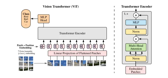 模型概述取自 Google 的 AN IMAGE IS WORTH 16X16 WORDS: TRANSFORMERS FOR IMAGE RECOGNITION AT SCALE 论文 v1(2020)和 v2(2021)